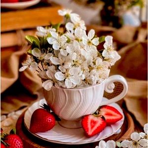 Meet your Posher, Snow